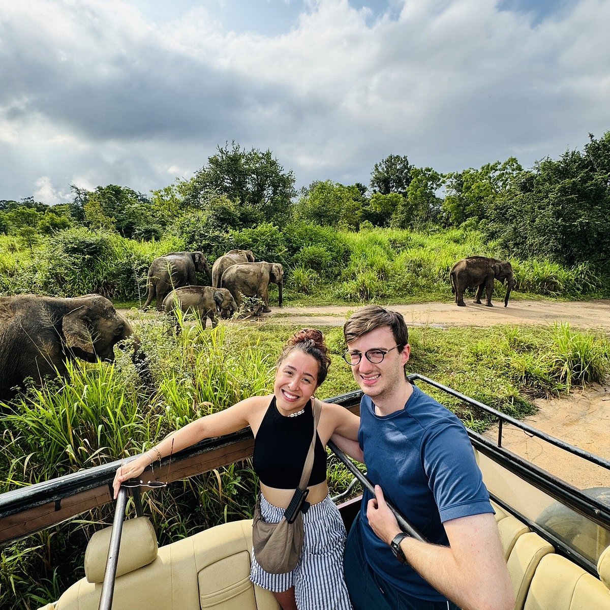Safari